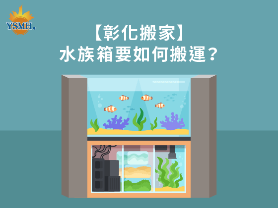 【彰化搬家】水族箱要如何搬運？